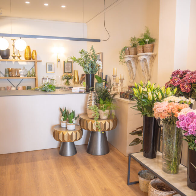 tienda de flores floralis 4