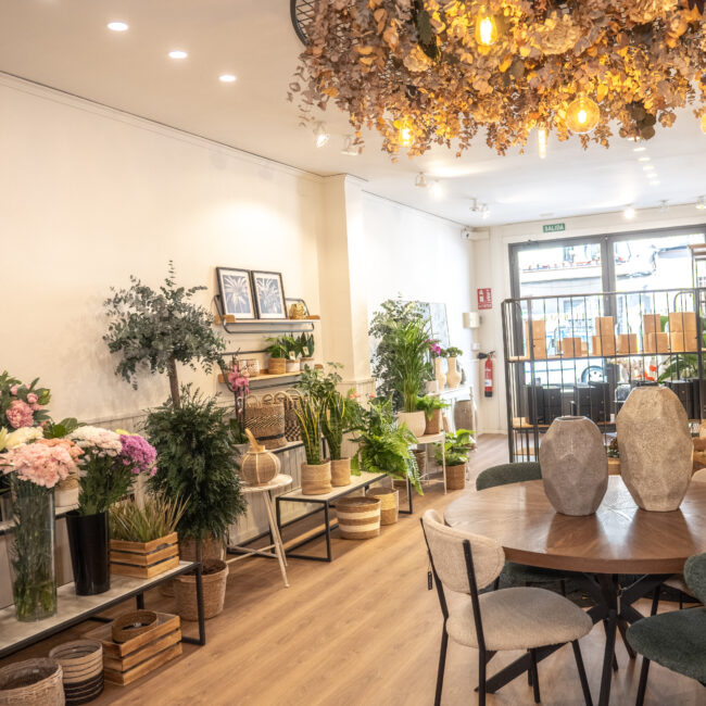 tienda de flores floralis 2